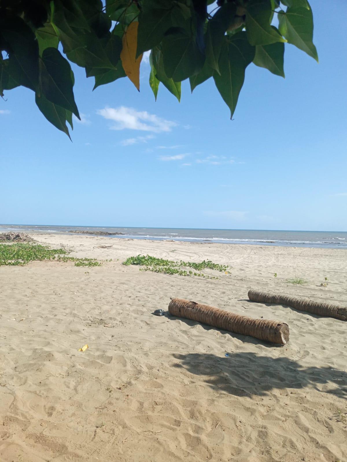Sandee Playas De La Candelaria