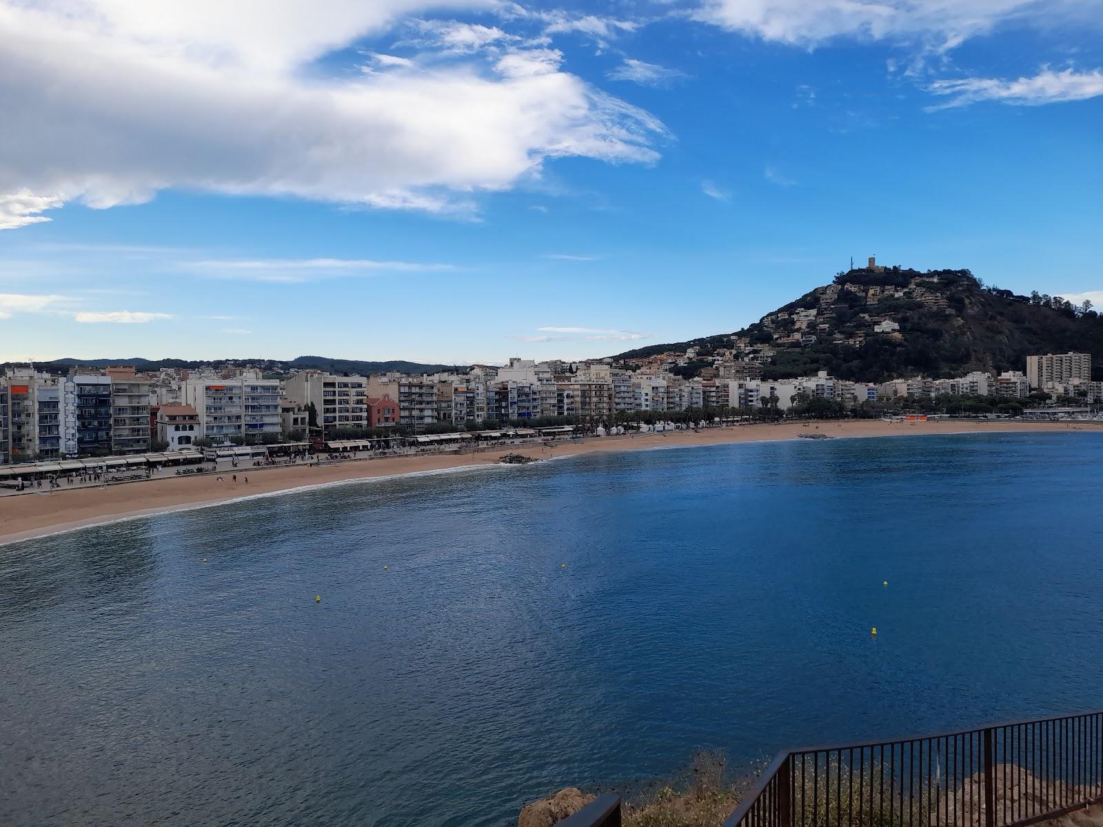 Sandee - Beach Blanes