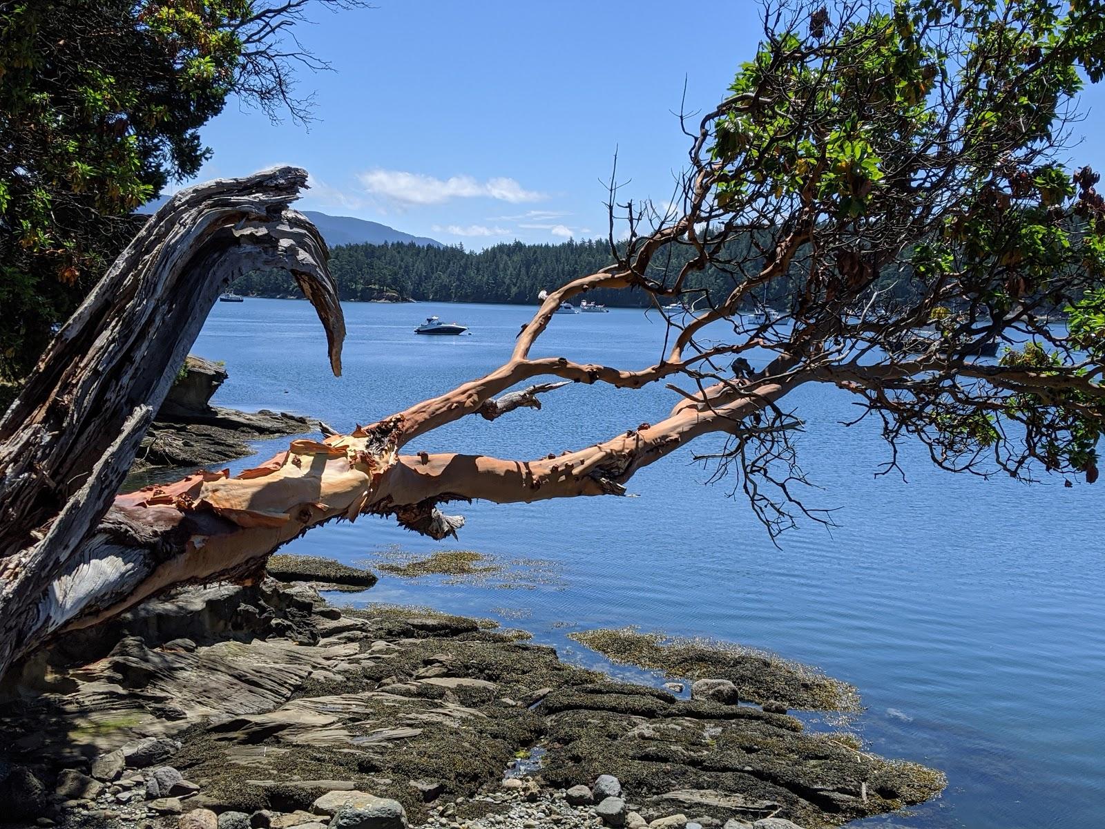 Sandee - Sucia Island Marine State Park