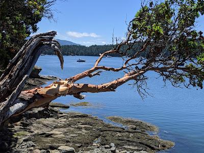 Sandee - Sucia Island Marine State Park