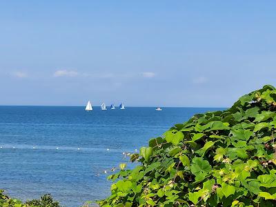 Sandee - Albert's Landing Beach