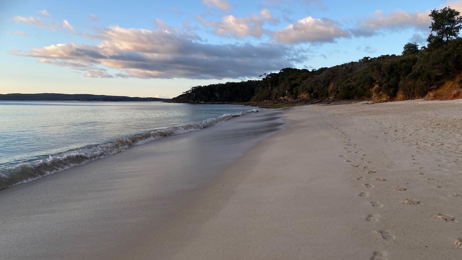 Sandee Nelsons Beach