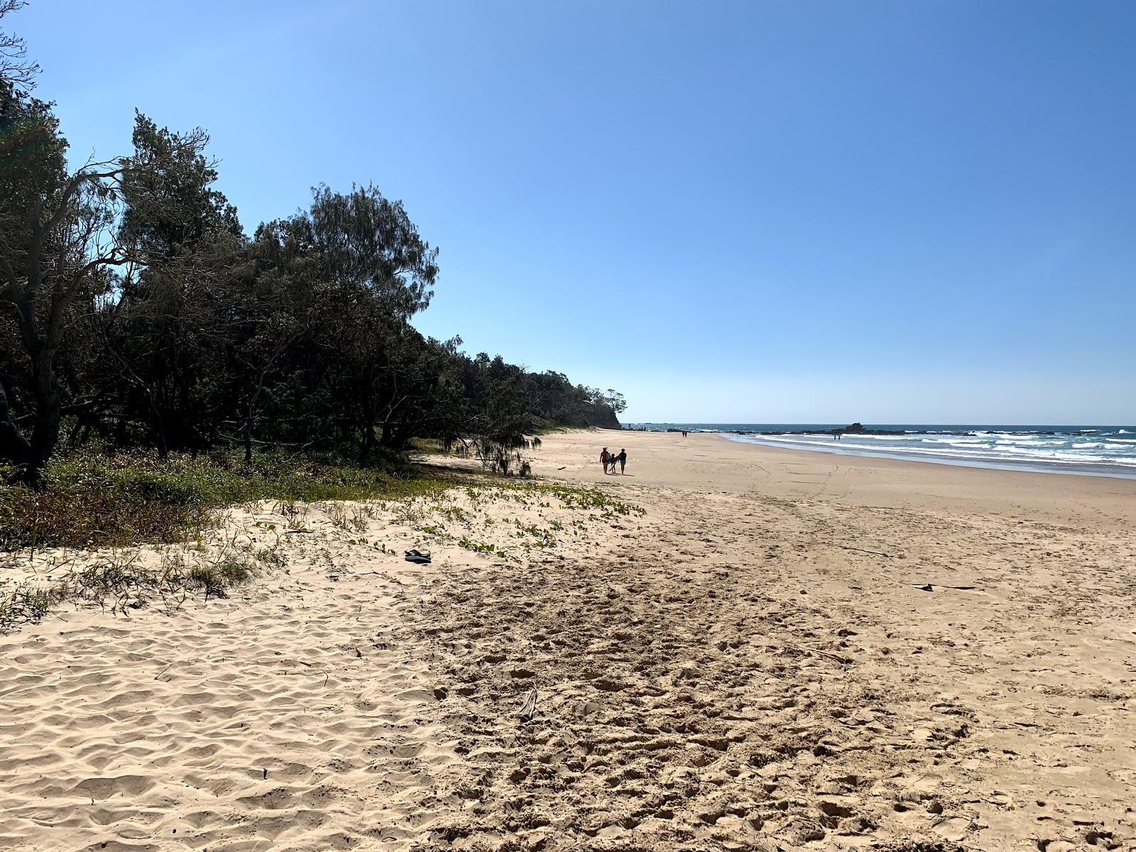 Sandy Beach Photo - Sandee