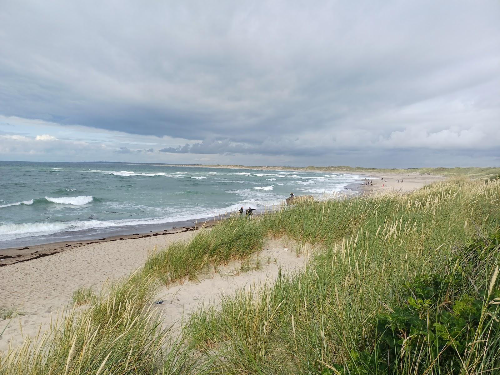Sandee Klitmoeller Beach