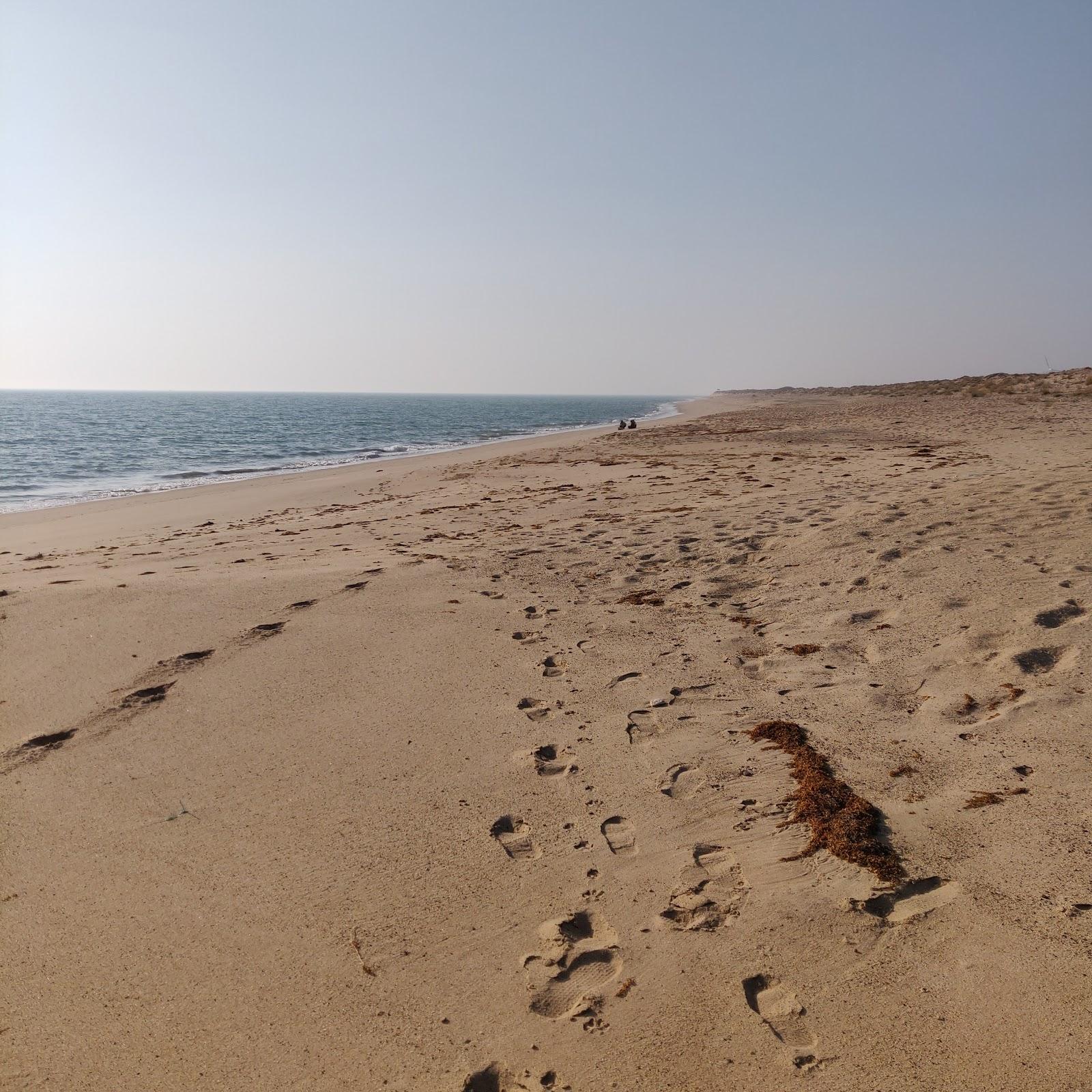 Sandee Chhachhi The Beach Village