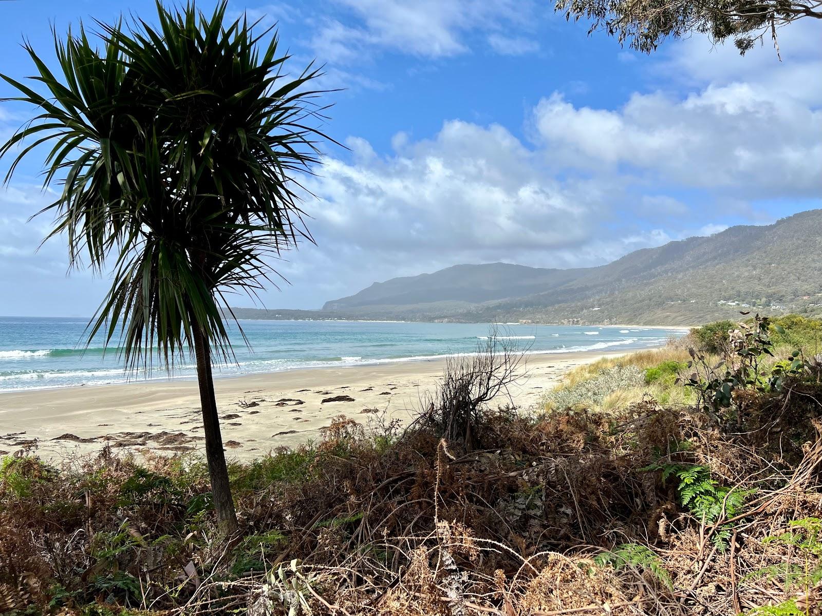 Sandee Pirates Bay Beach