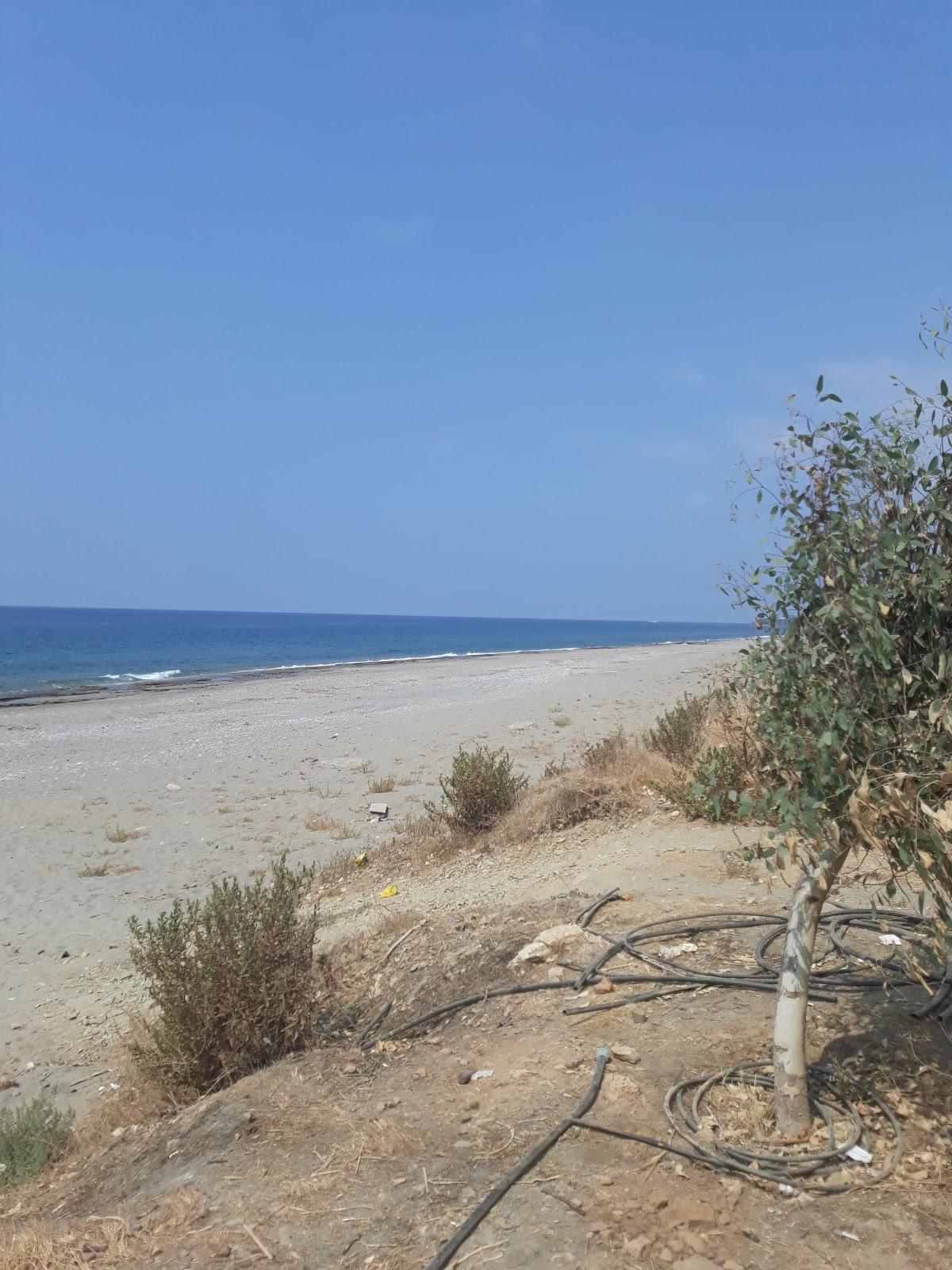 Sandee Demirtas Beach Photo