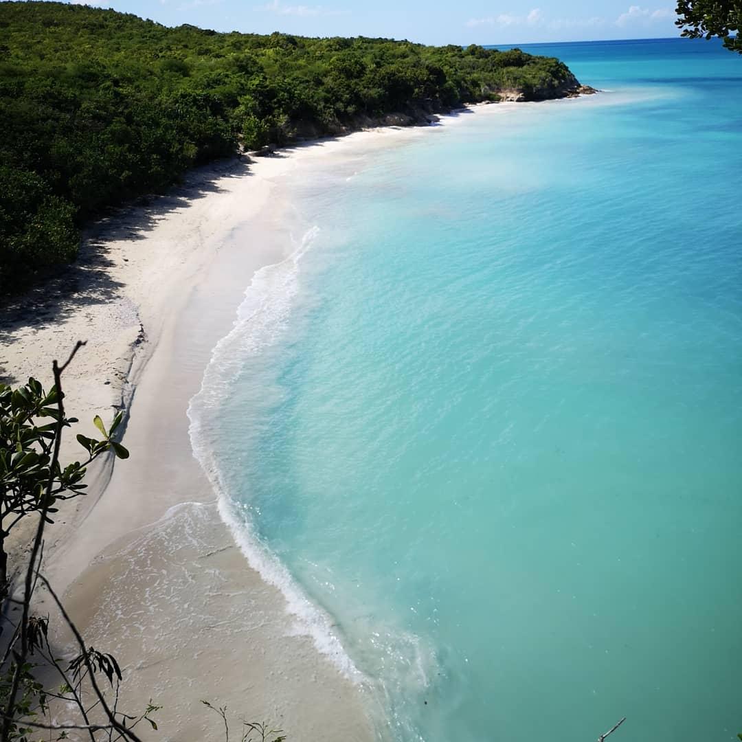 Sandee Bush Bay Beach