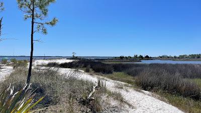 Sandee - Ochlockonee Point