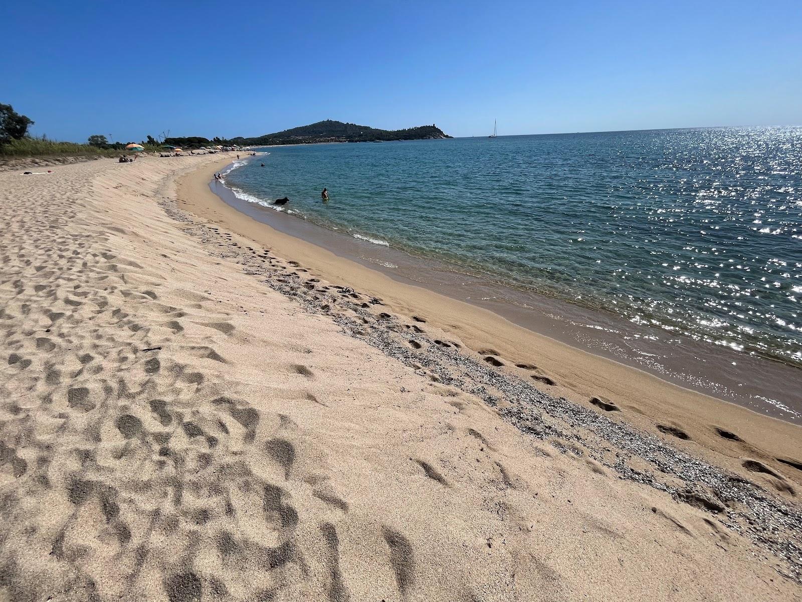 Sandee Dog Beach
