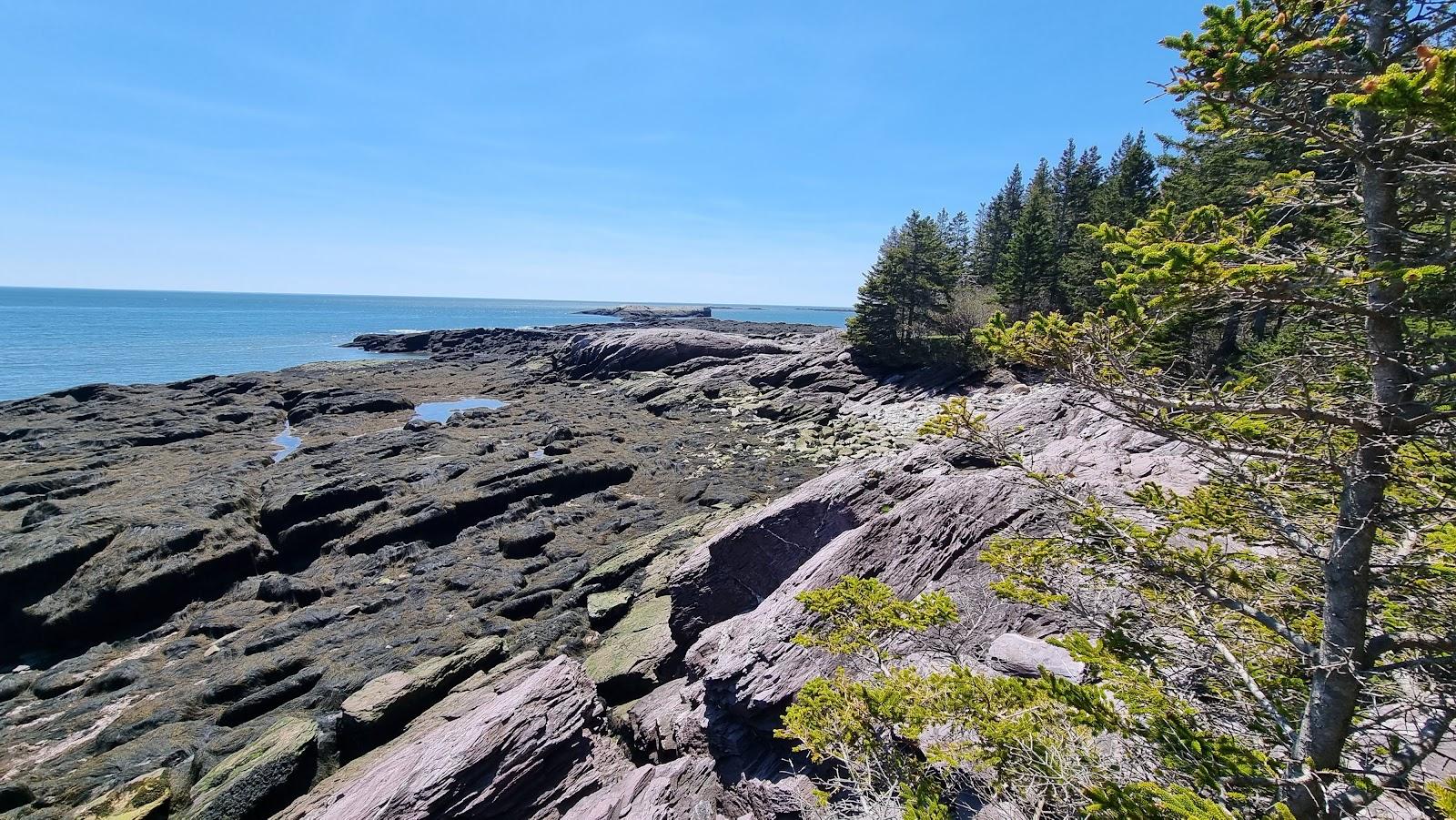 Sandee Belding's Reef Nature Preserve