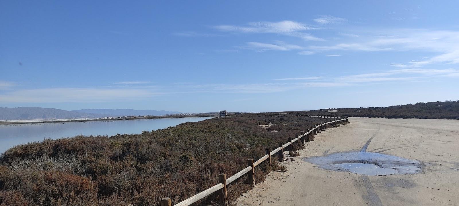 Sandee Playa De Cerrilos Photo