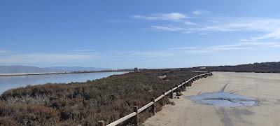 Sandee - Playa De Cerrilos