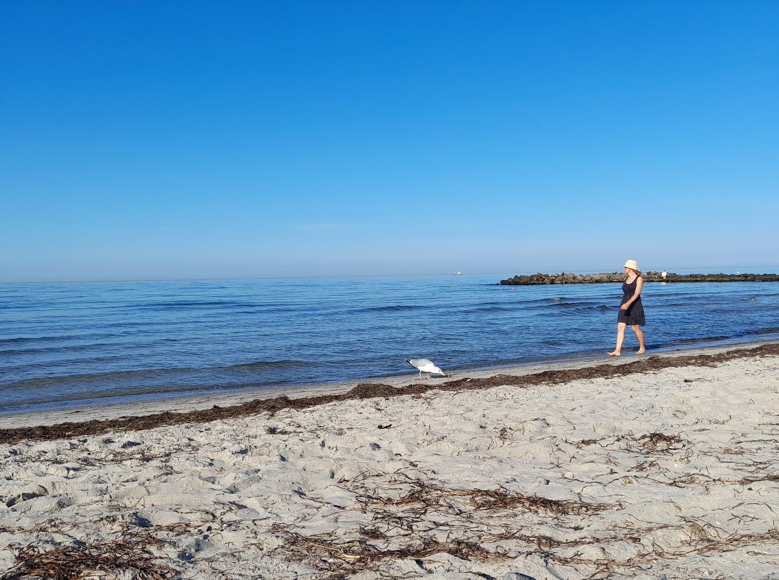 Sandee Fkk Strand Kalifornien