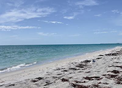 Sandee - Captiva Beach