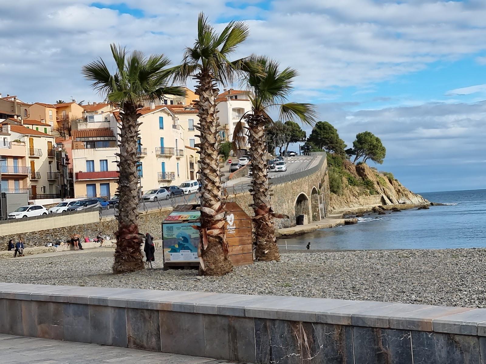 Sandee - Plage Centrale De Banyuls Sur Mer