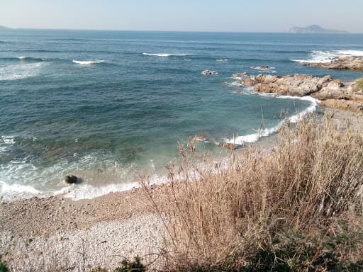 Sandee - Playa Del Canto De La Arena