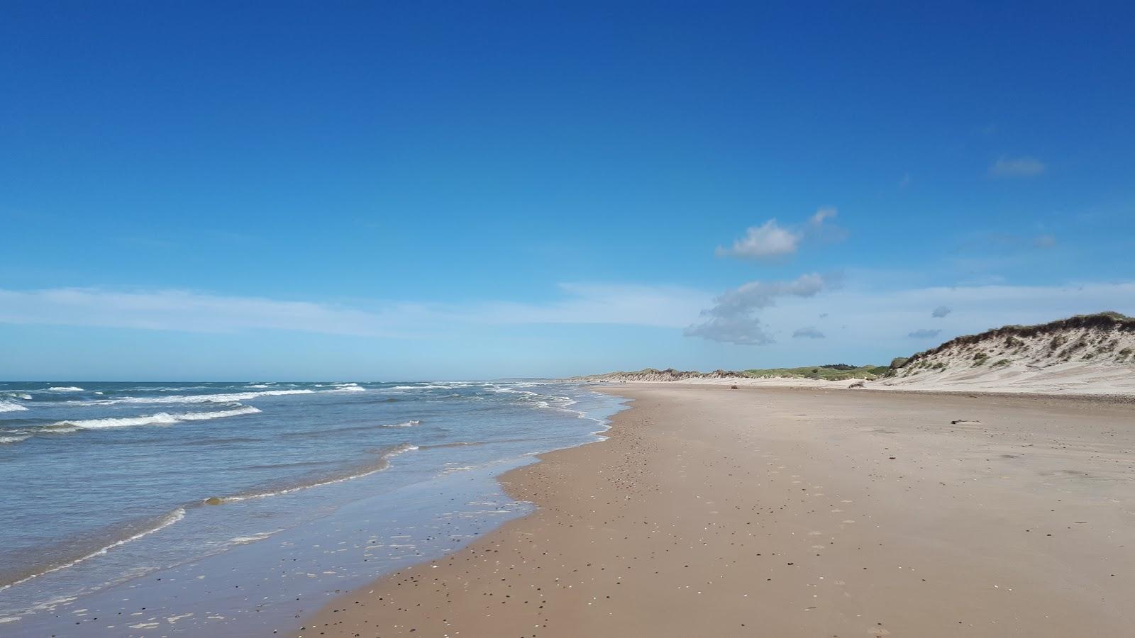 Sandee Tversted Strand