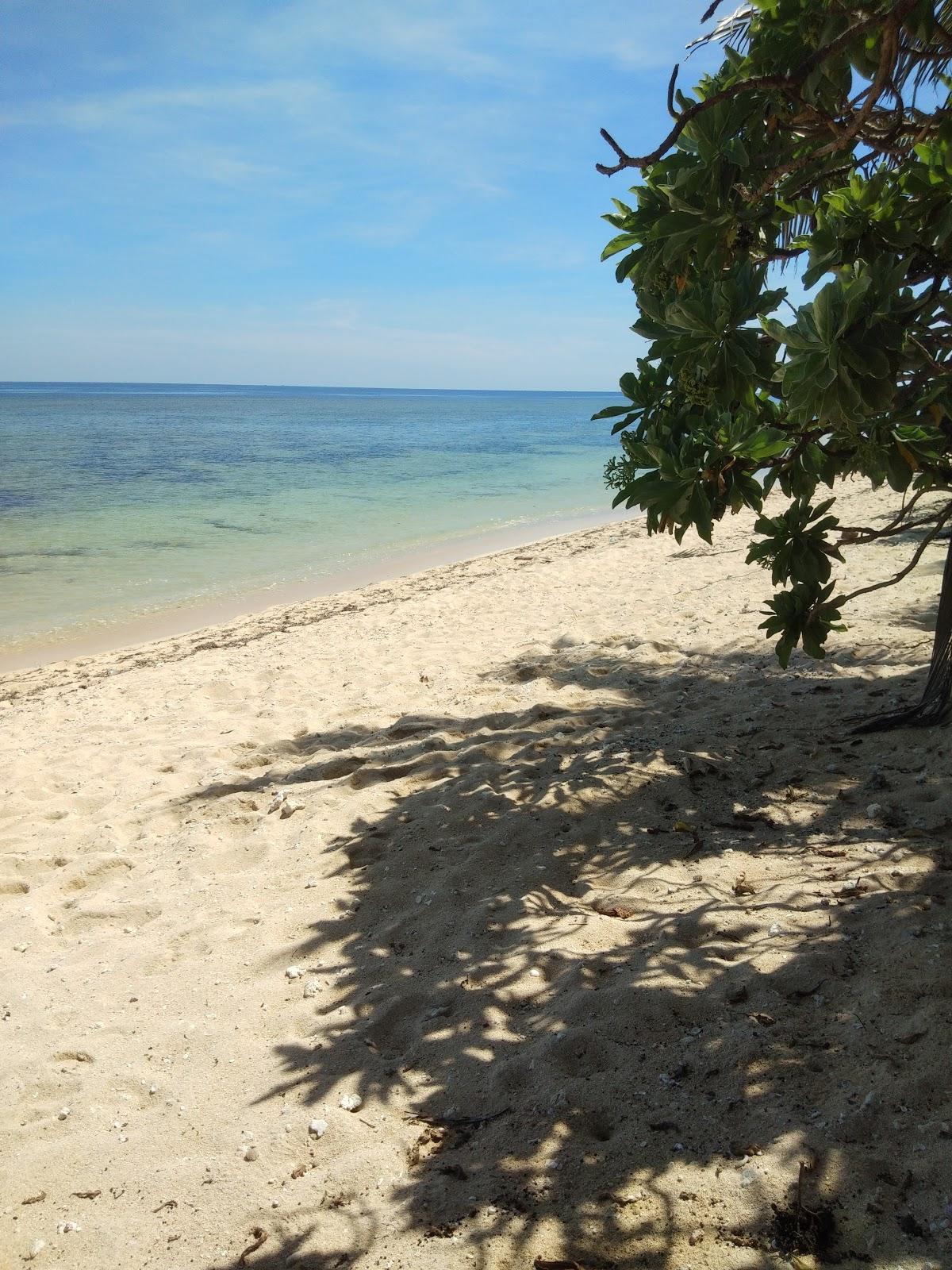 Sandee Cindys Bay View Beach Resort