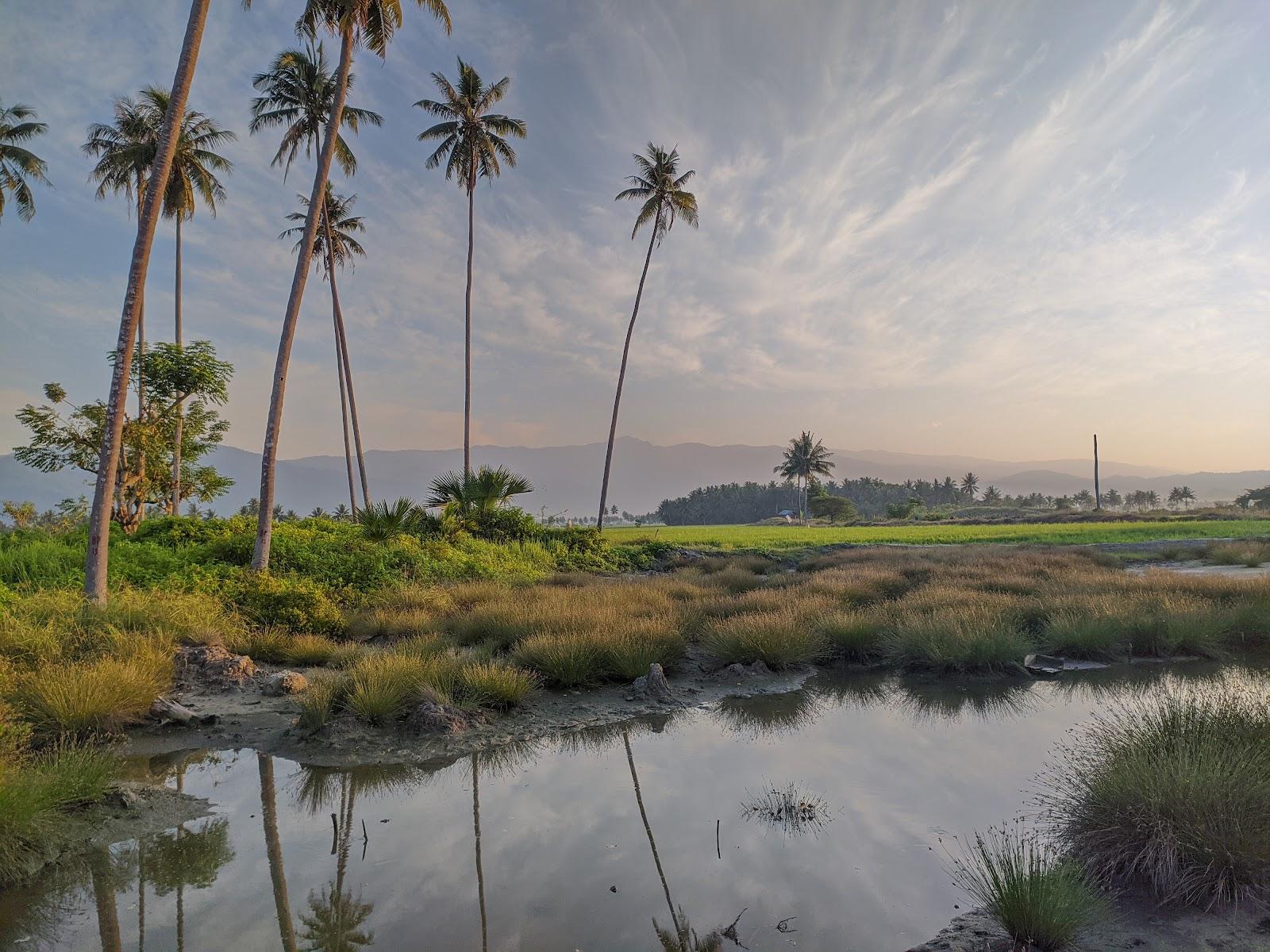 Sandee Gangapatnam Beach