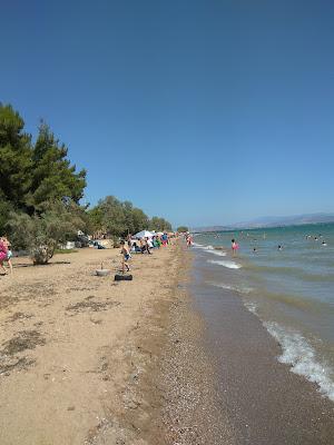 Sandee - Avlida Beach