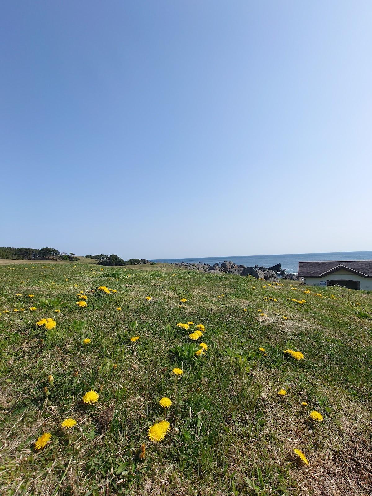 Sandee - Taneichi Seaside Park