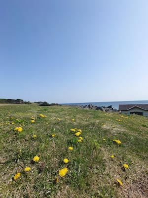 Sandee - Taneichi Seaside Park