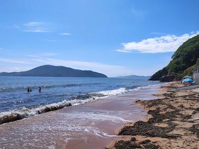 Sandee - Domashlino Beach