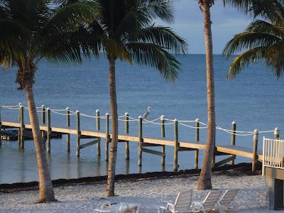 Sandee - Sugarloaf Beach