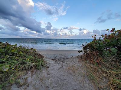 Sandee - Dr. Von D. Mizell-Eula Johnson State Park