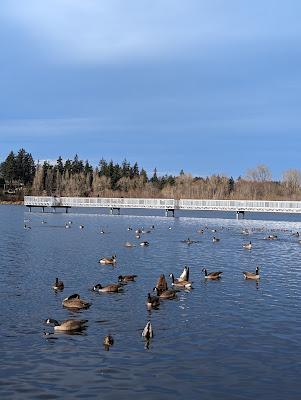 Sandee - Ballinger Park