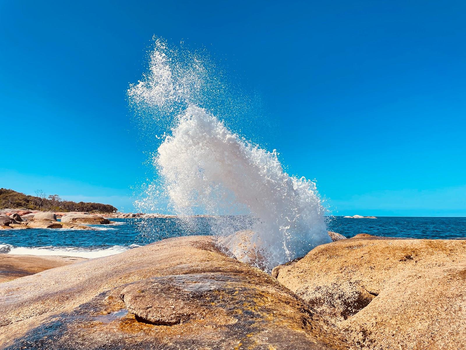 Sandee Bicheno Blowhole Photo