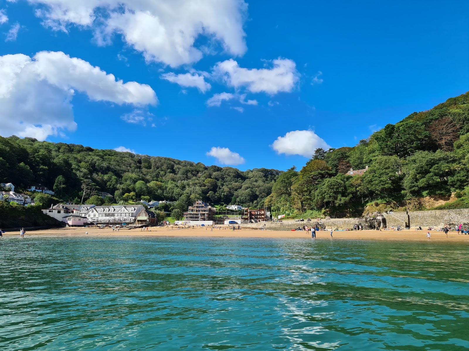 Sandee Salcombe South Sands Beach Photo