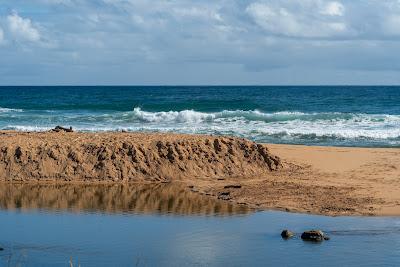 Sandee - Kealia Beach