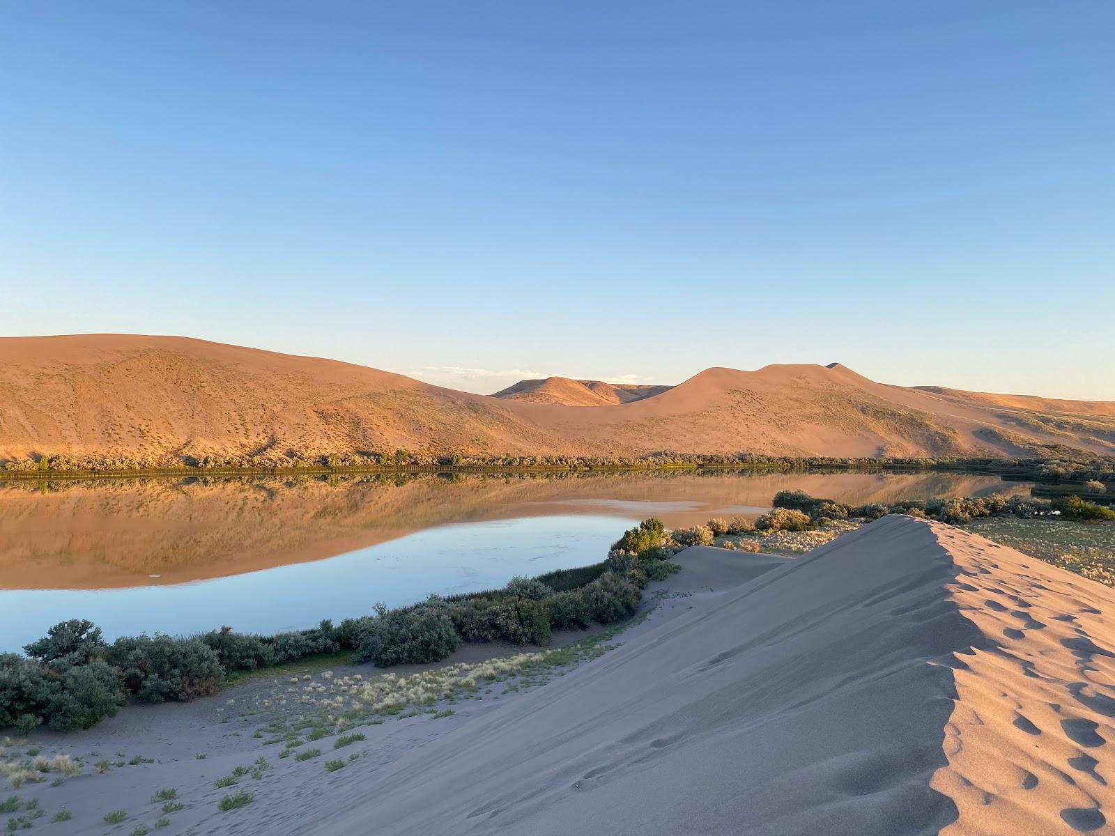 Sandee Bruneau Dunes State Park Photo