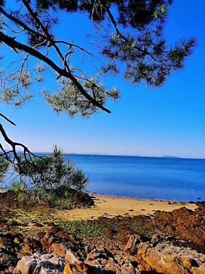 Sandee - Praia Do Tronco