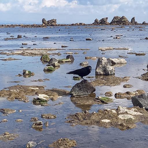 Sandee Unosaki Coast Photo