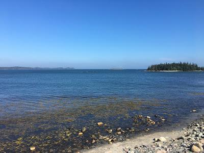 Sandee - Sandy River Beach