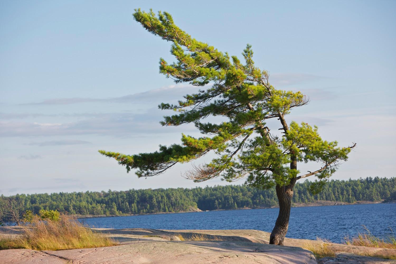 Sandee Killbear Provincial Park
