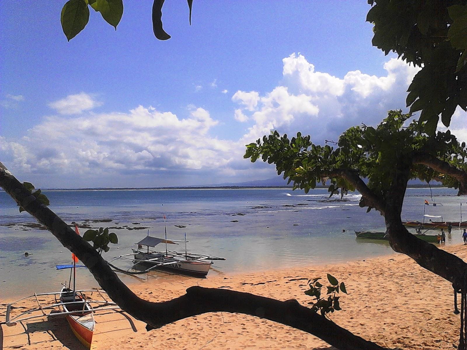 Sandee Quinamanuca Island Beach Photo
