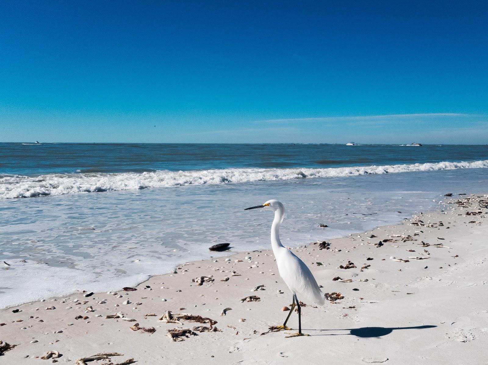 Sandee - Lovers Key Beach