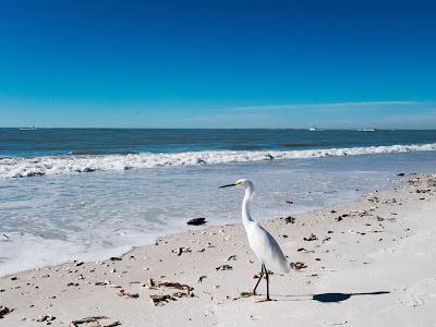 Sandee - Lovers Key Beach