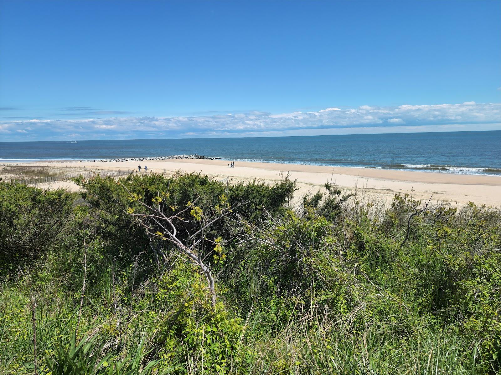 Sandee - Cape Henlopen State Park