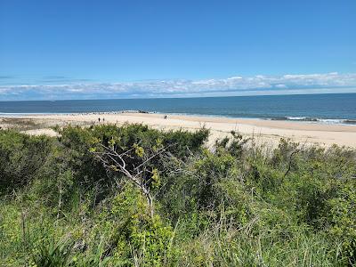 Sandee - Cape Henlopen State Park