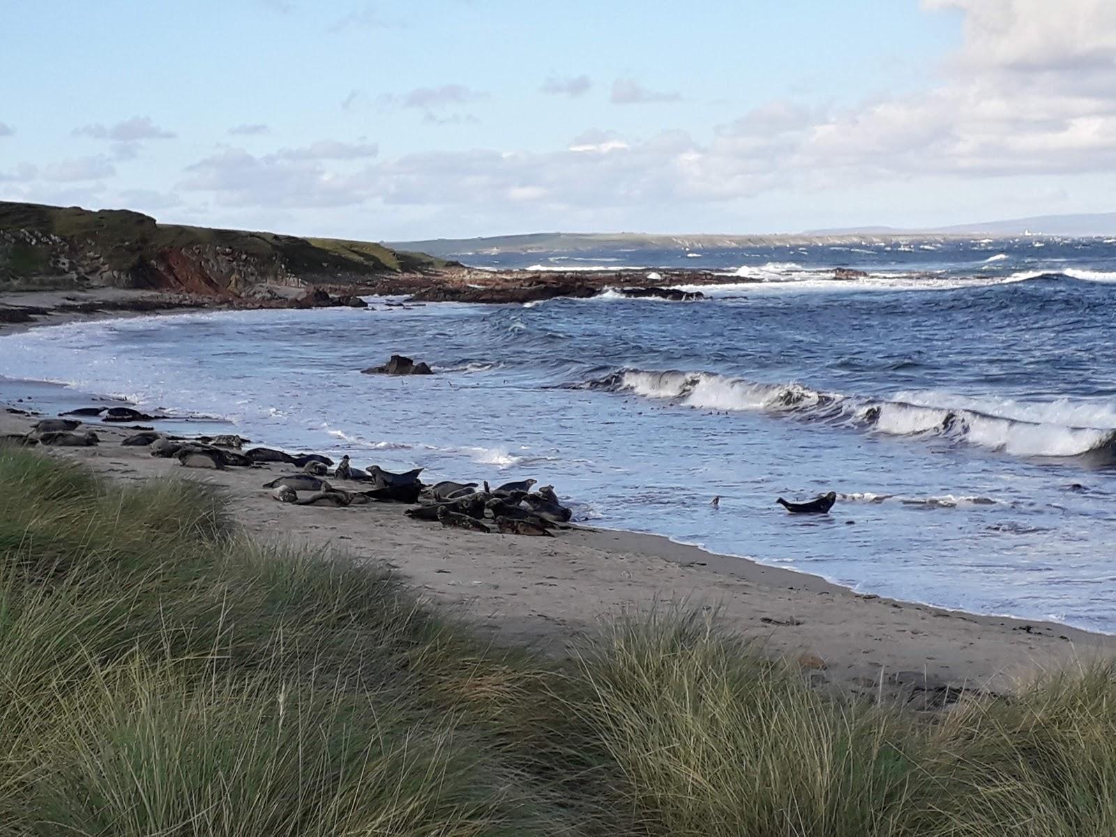 Sandee Bay Of Sannick