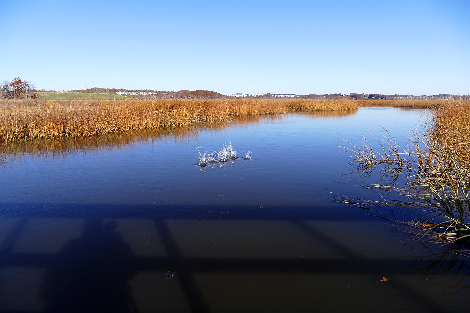 Sandee - Hooks Creek Lake