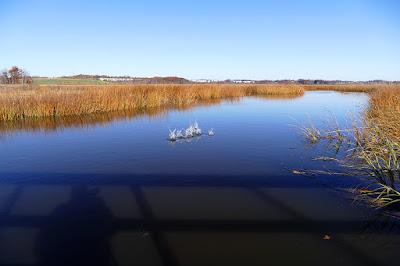 Sandee - Hooks Creek Lake