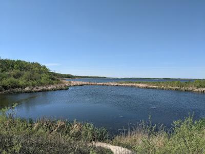 Sandee - Grand Beach Provincial Park