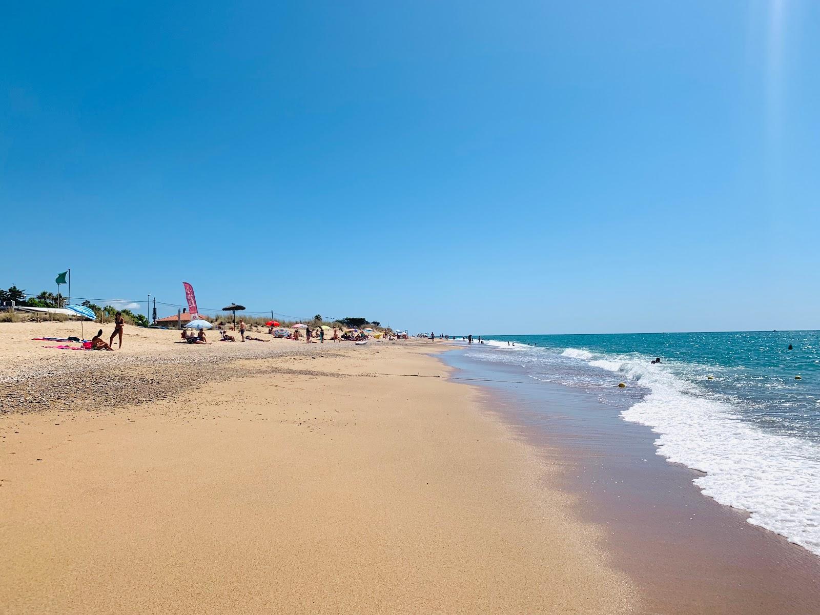 Sandee Playa De La Punta De La Tordera