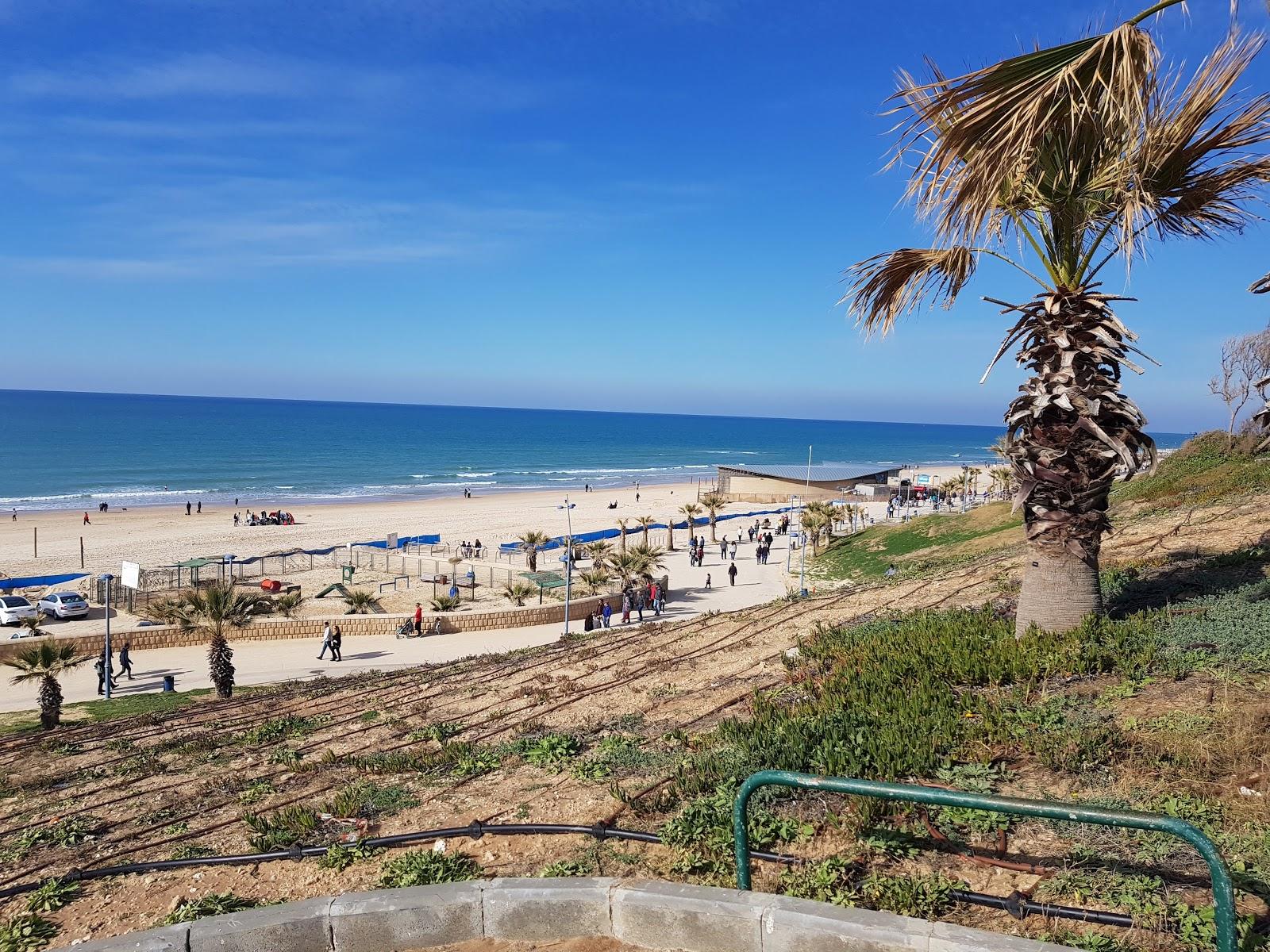 Sandee Separate Beach Bat Yam Photo